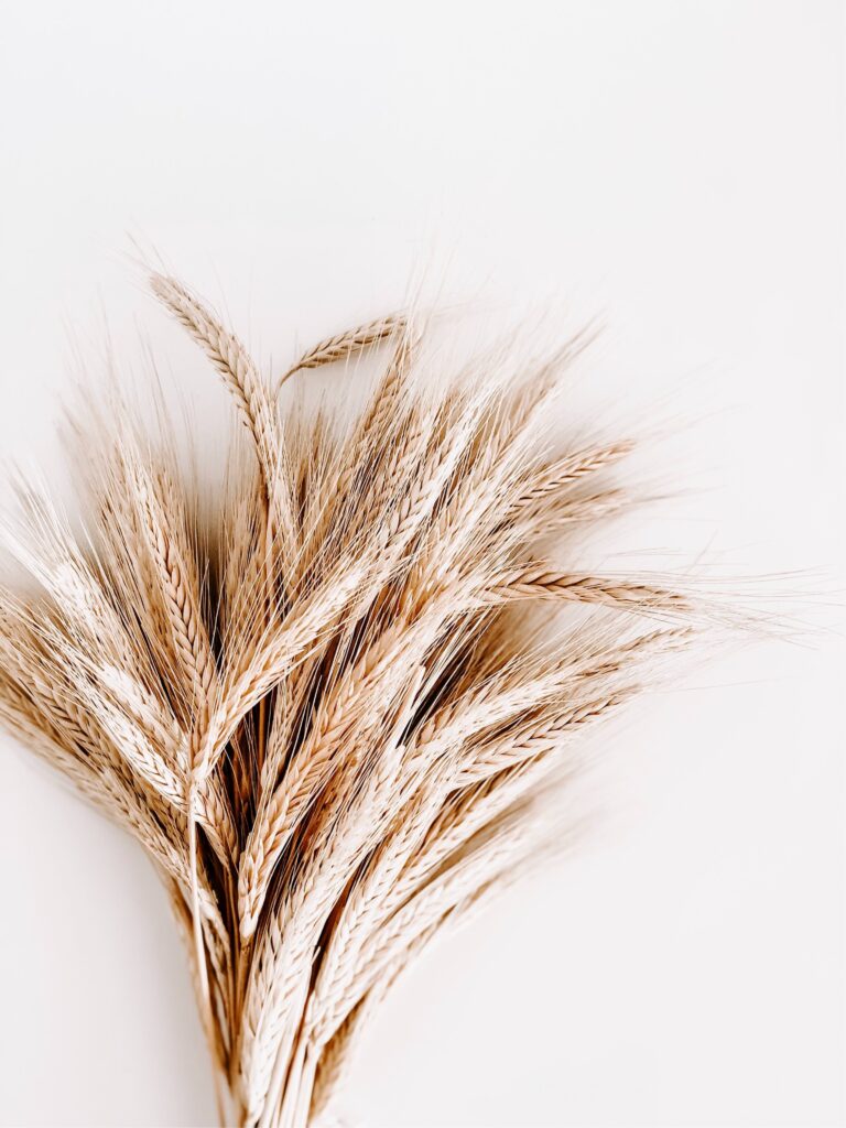 ¿Te sienta mal el gluten?