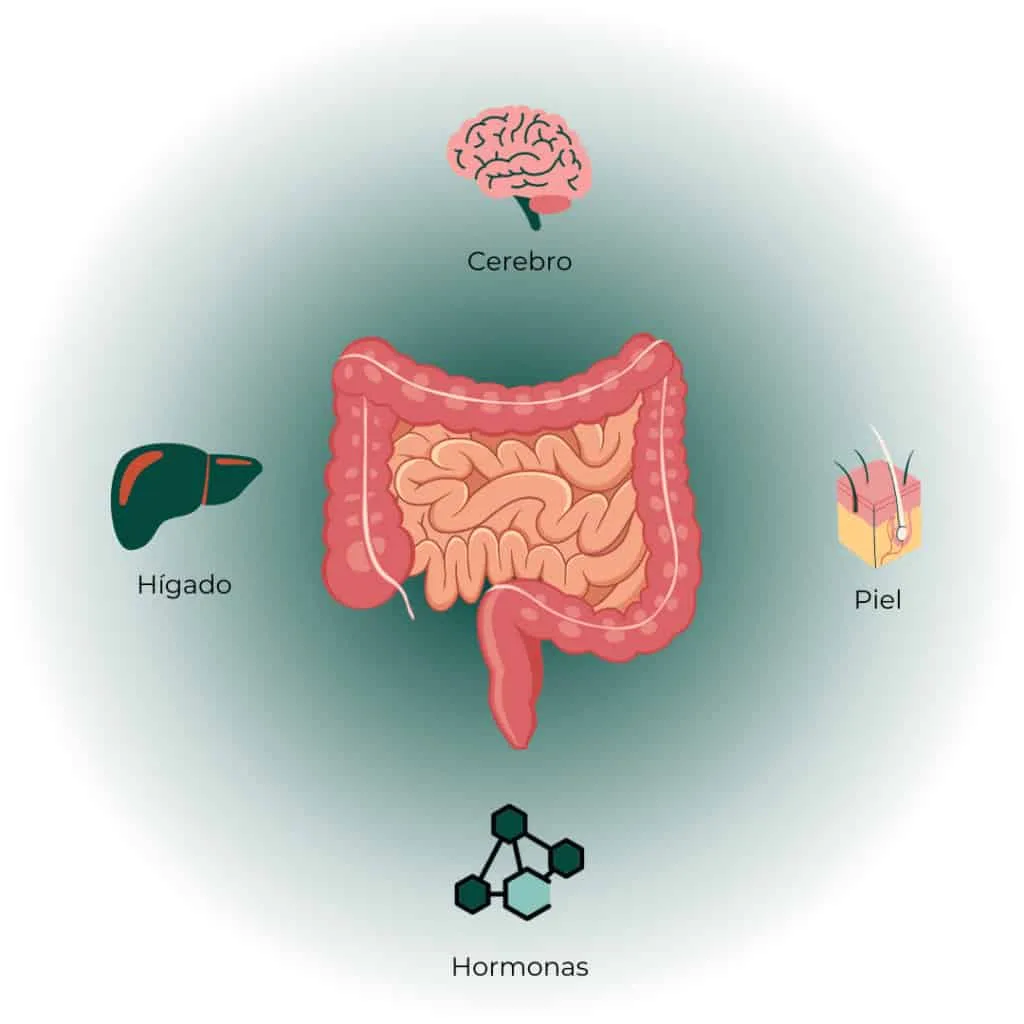 consulta nutricionista digestivo online